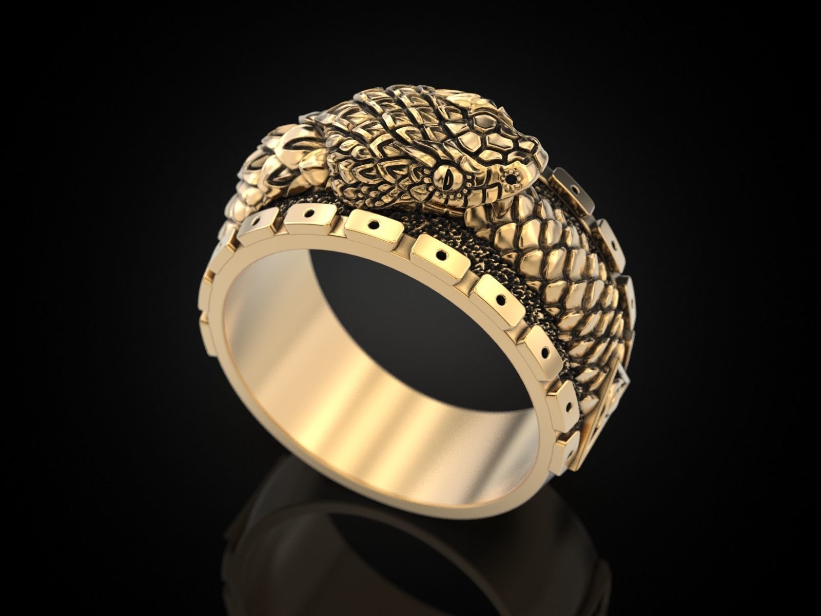 Ouroboros snake all seeing eye of masons ring 3D print model_14