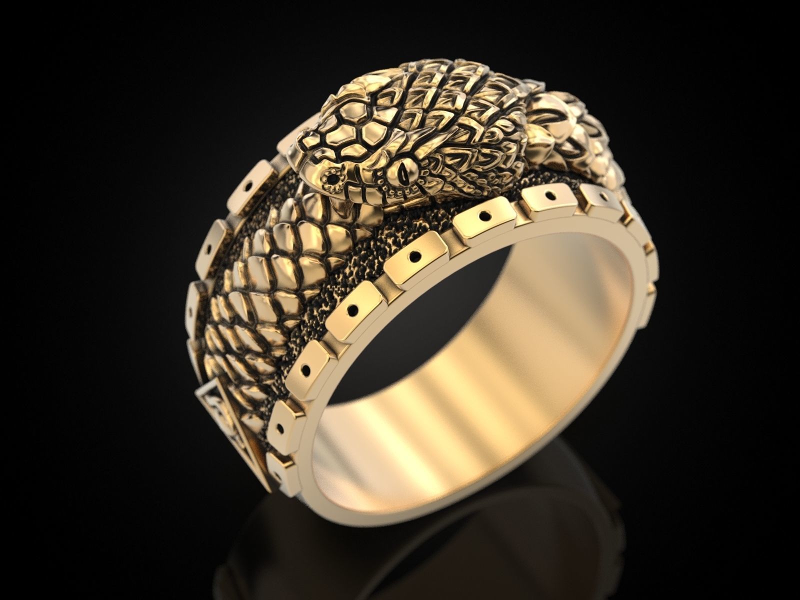 Ouroboros snake all seeing eye of masons ring 3D print model_15