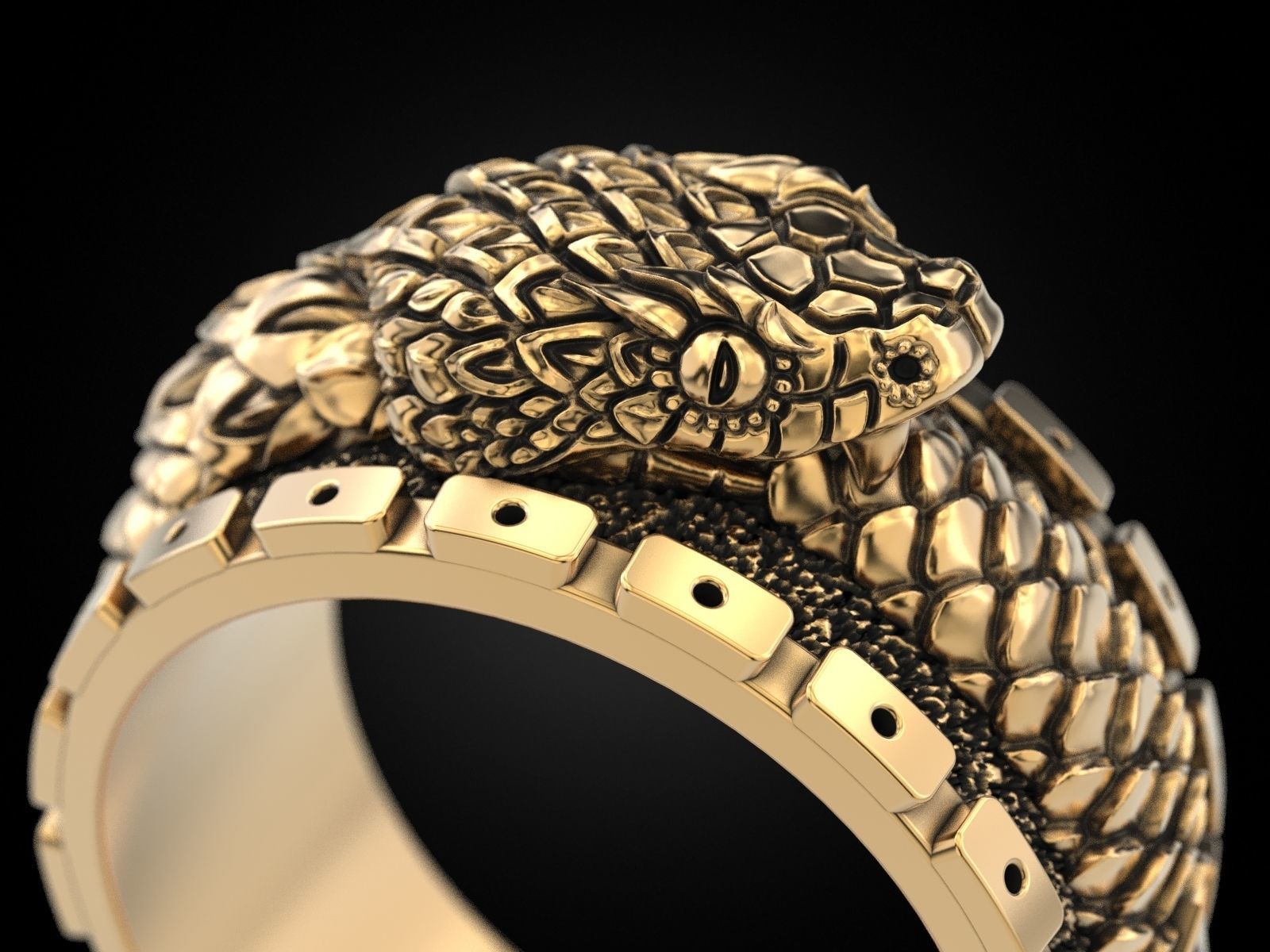 Ouroboros snake all seeing eye of masons ring 3D print model_16