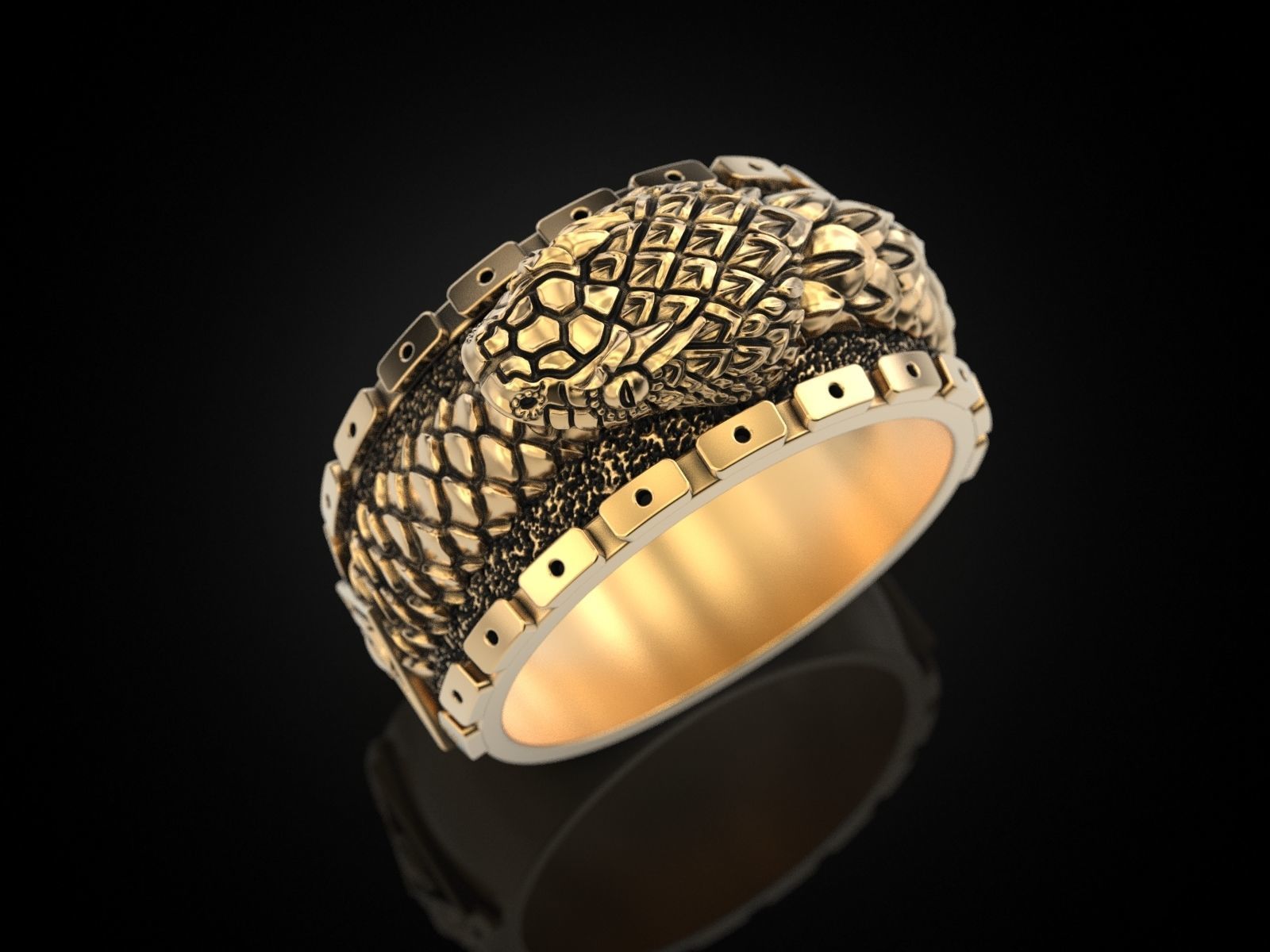 Ouroboros snake all seeing eye of masons ring 3D print model_18