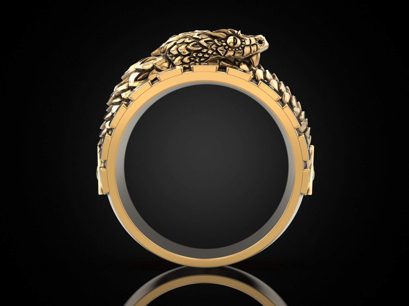 Ouroboros snake all seeing eye of masons ring 3D print model_24