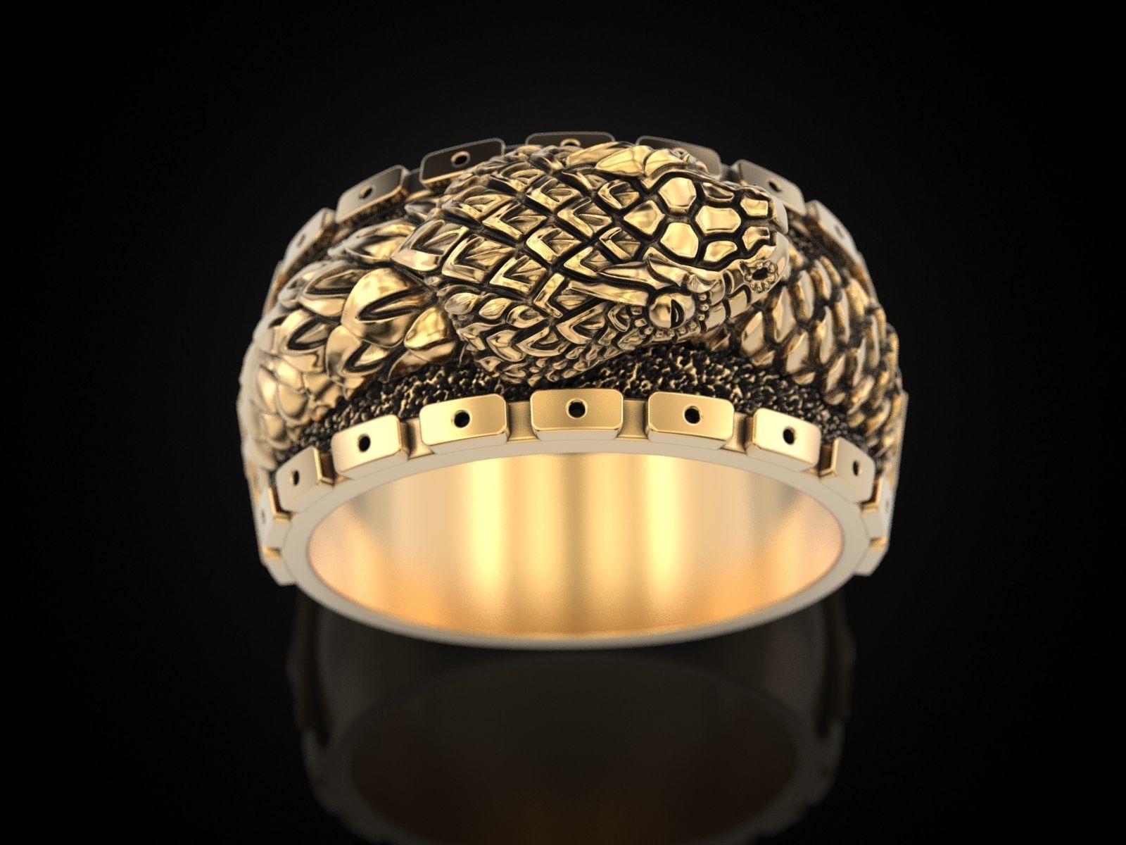 Ouroboros snake all seeing eye of masons ring 3D print model_19