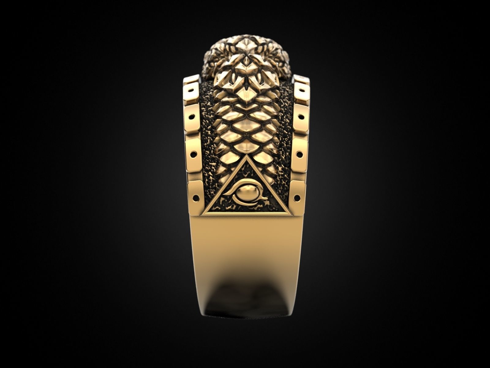 Ouroboros snake all seeing eye of masons ring 3D print model_23