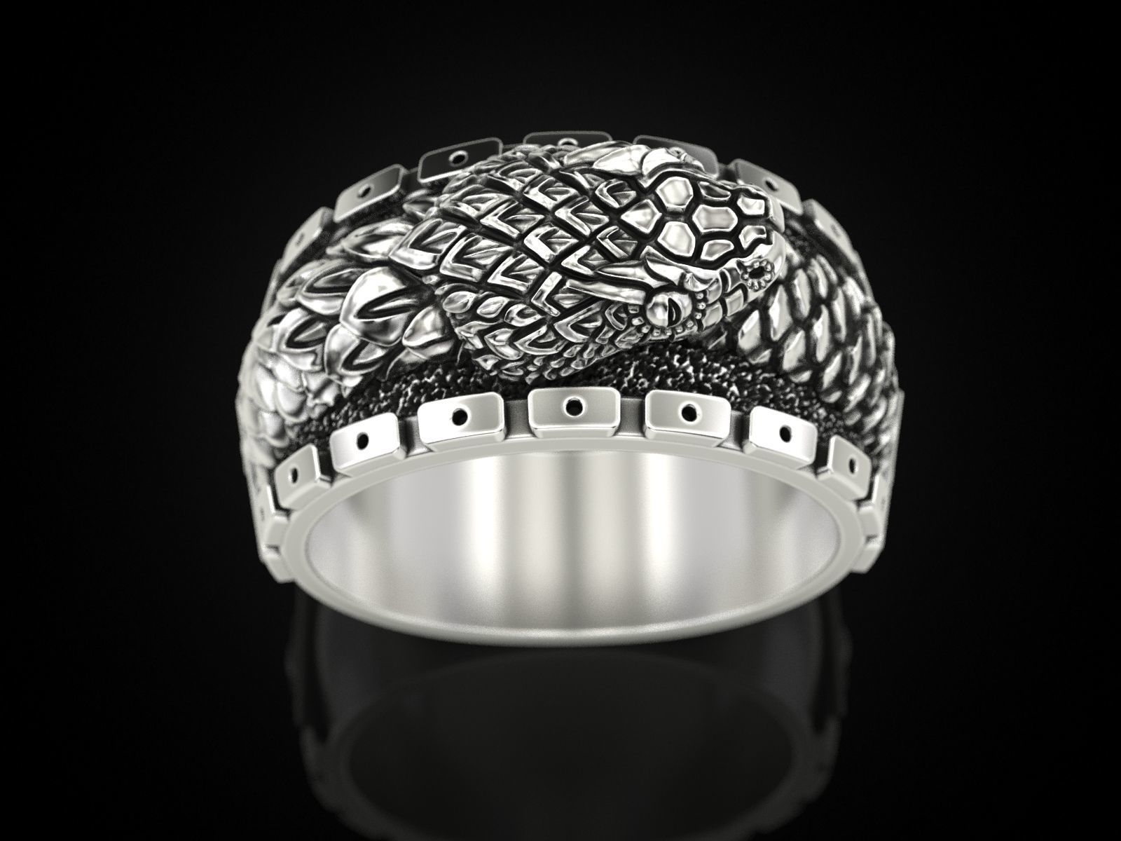 Ouroboros snake all seeing eye of masons ring 3D print model_5