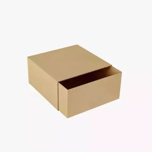 Cardboard Box 1