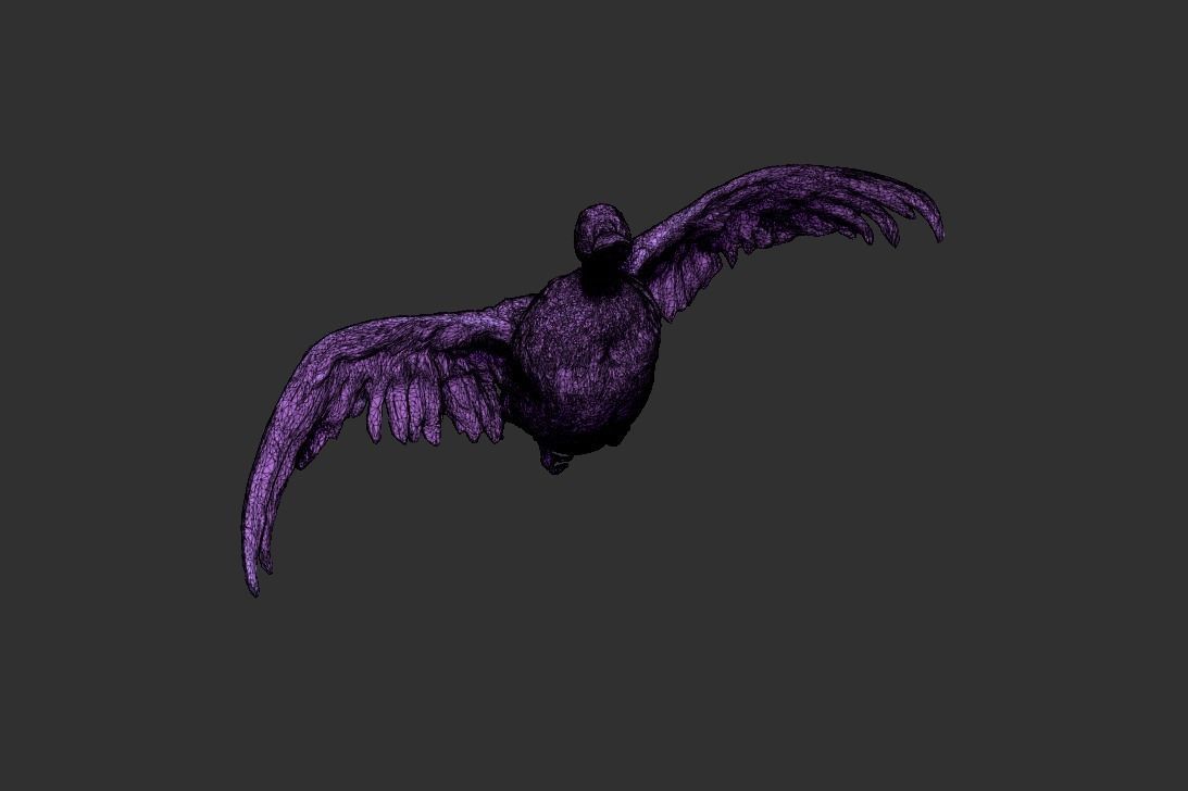 Flying duck 06 Low-poly 3D model_6