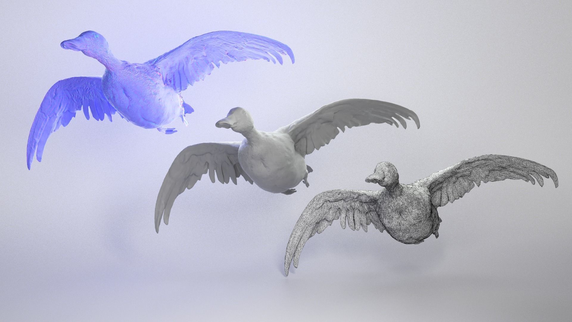 Flying duck 06 Low-poly 3D model_3