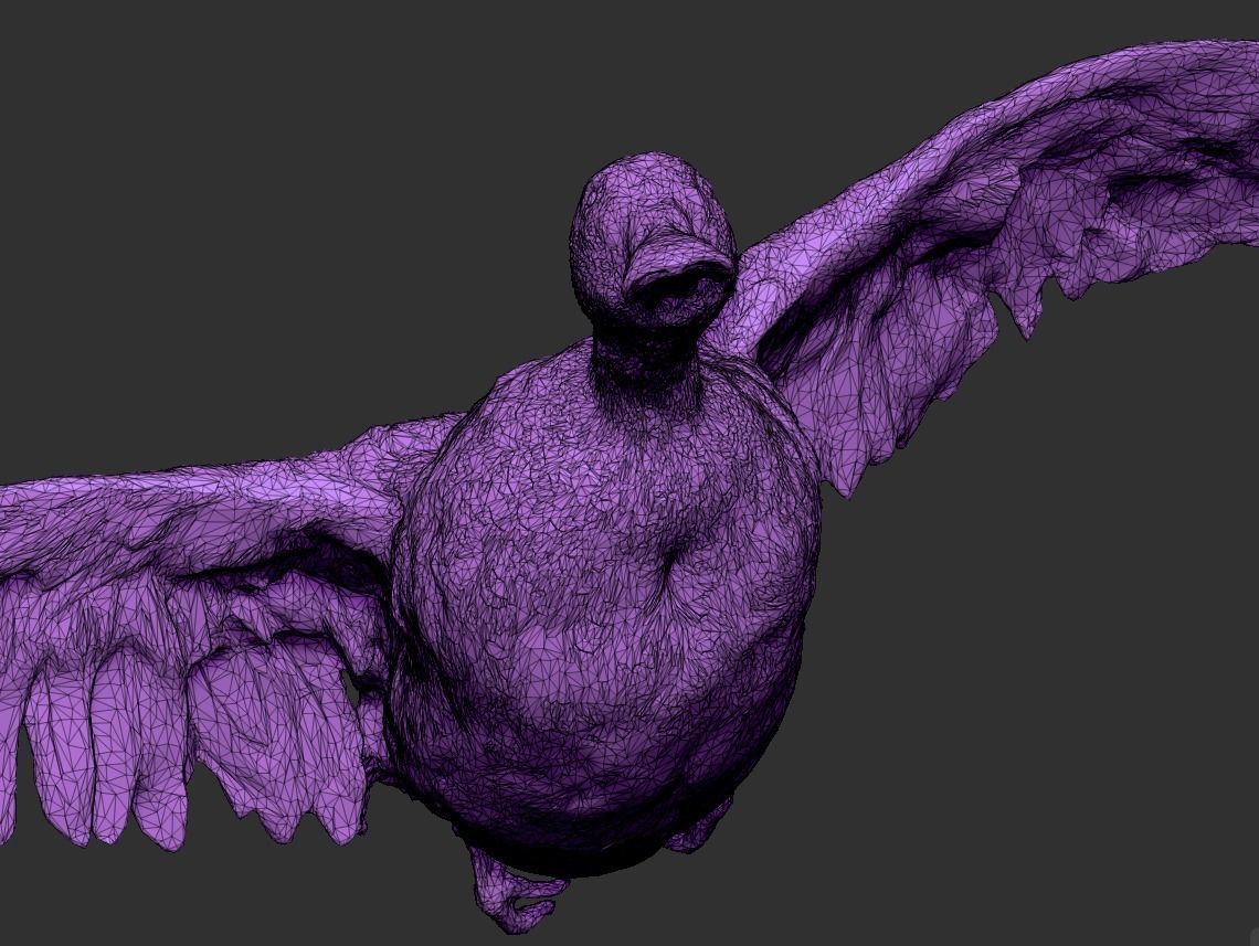 Flying duck 06 Low-poly 3D model_7