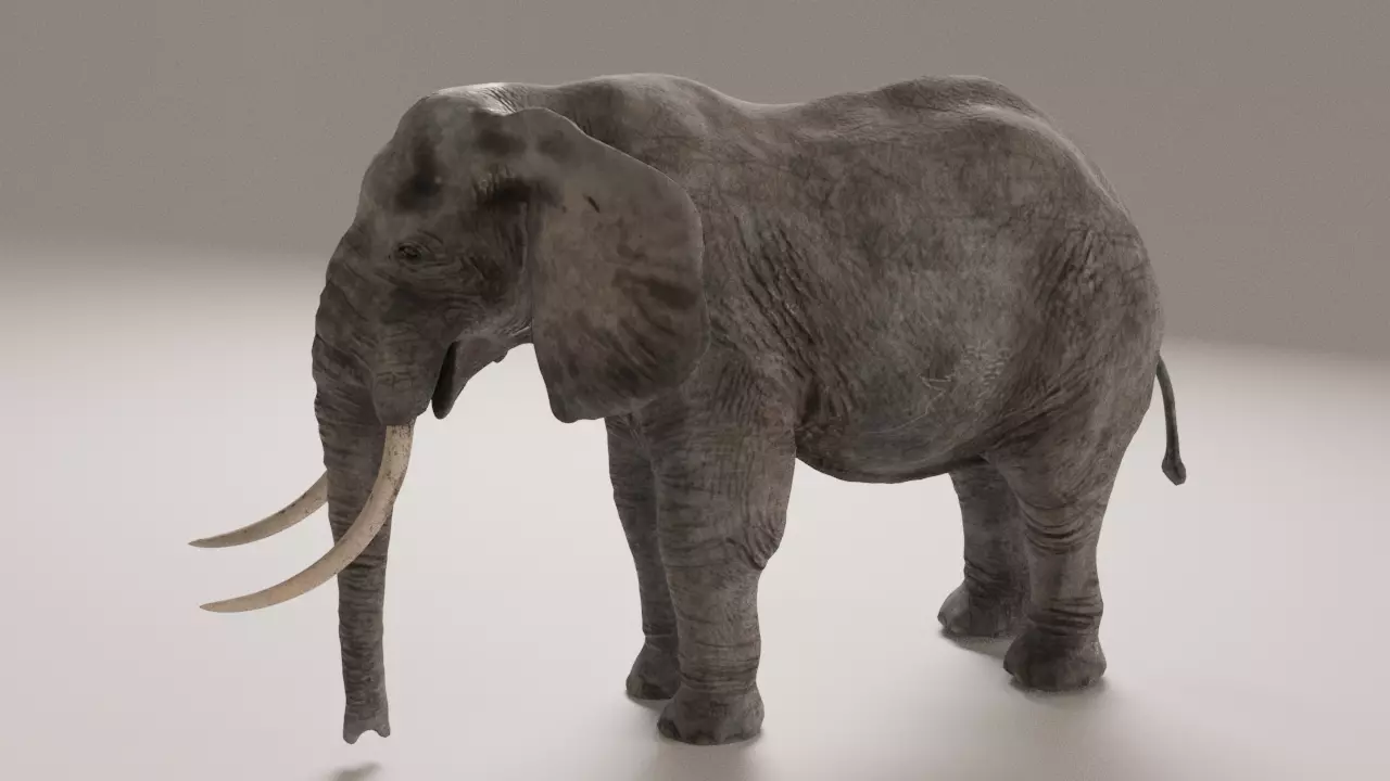 Elephant with long tusks Low-poly 3D model_0