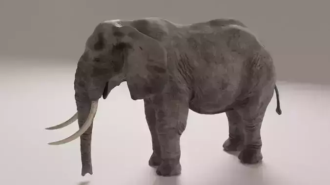 Elephant with long tusks Low-poly 3D model Elephant with long tusks Low-poly 3D model