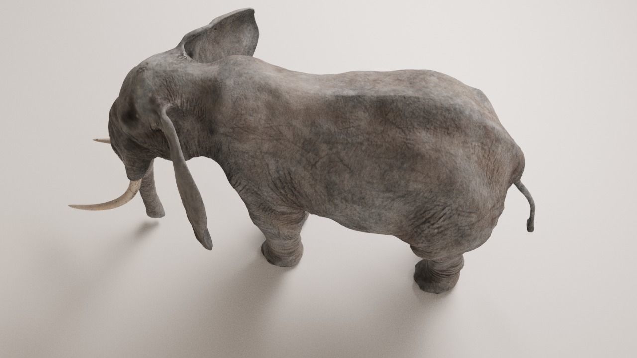 Elephant with long tusks Low-poly 3D model_7