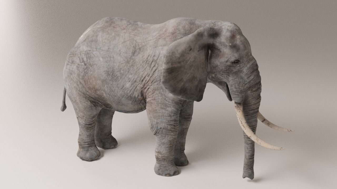Elephant with long tusks Low-poly 3D model_2