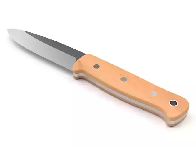 Kitchen knife 16