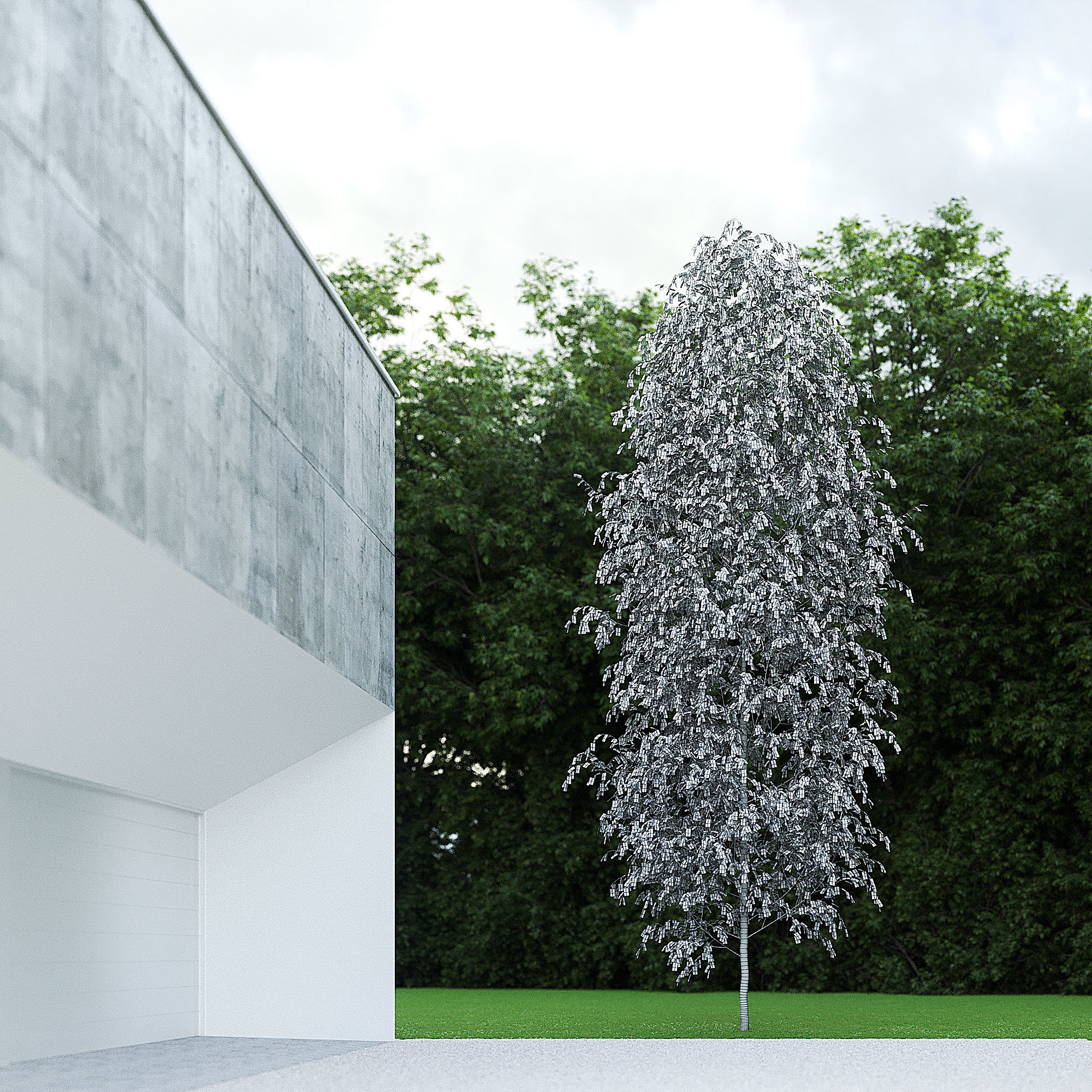 Betula Pendula 001-009 COLLECTION 3D model_12