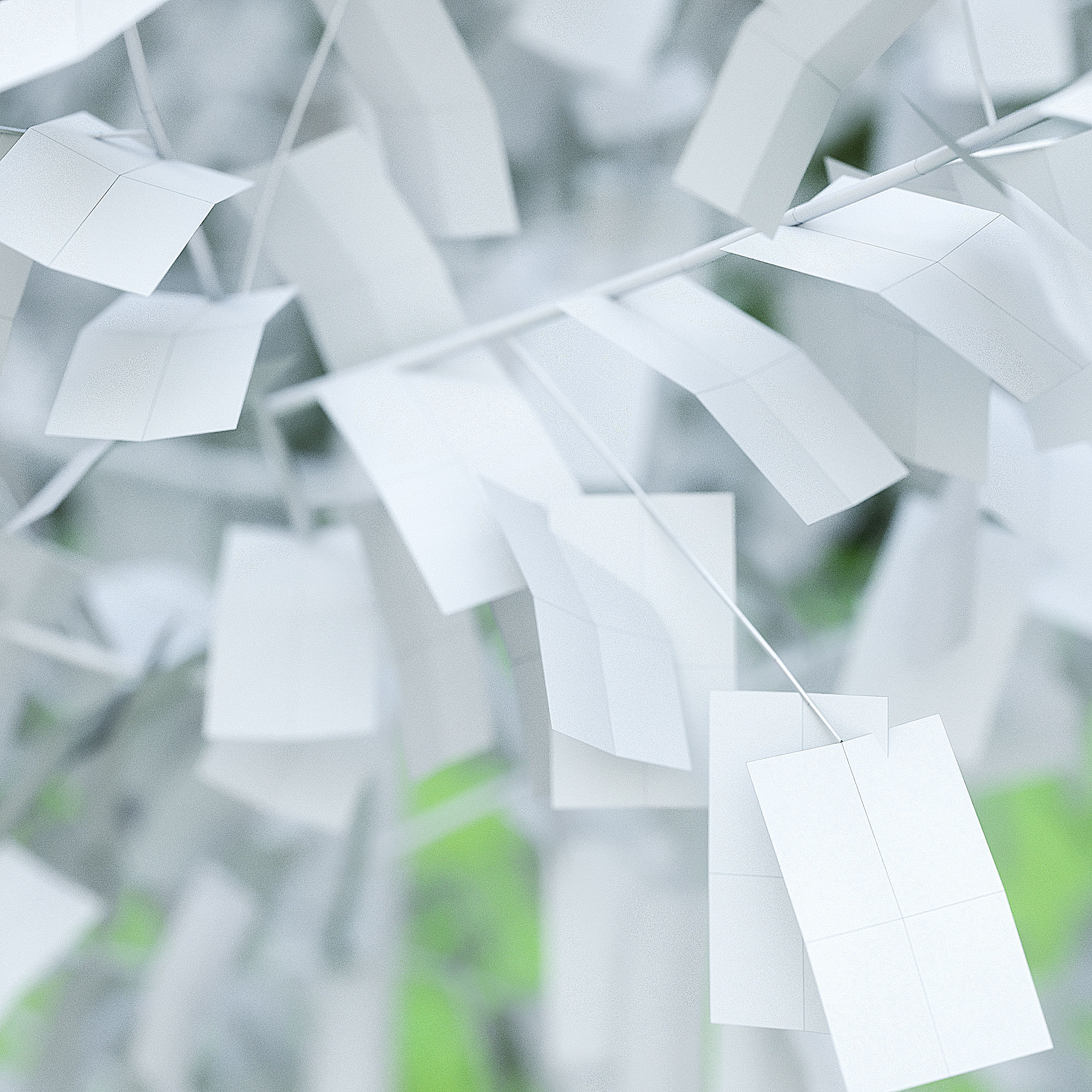 Betula Pendula 001-009 COLLECTION 3D model_30