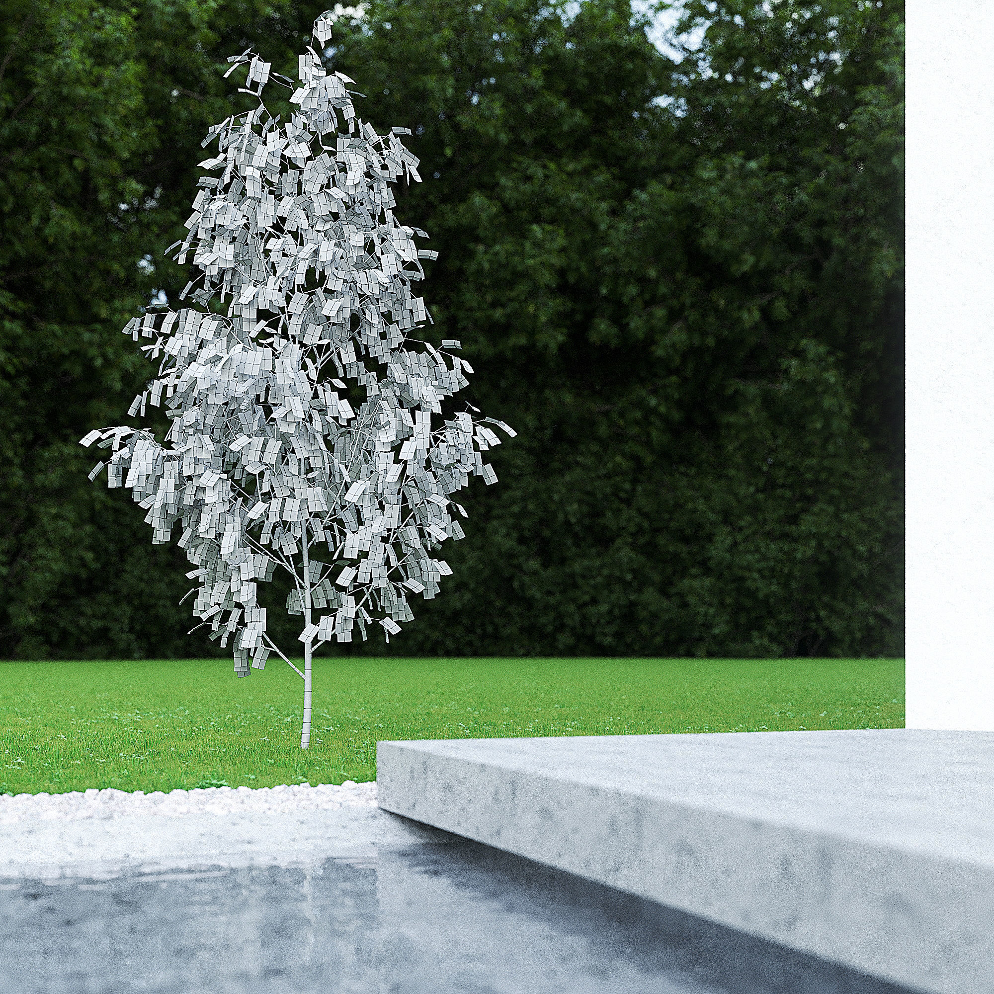 Betula Pendula 001-009 COLLECTION 3D model_3