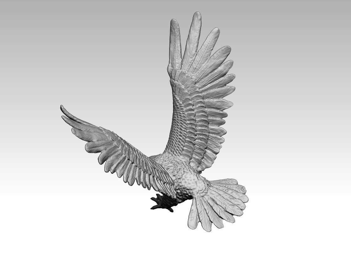 Great Eagle 3D print model_3