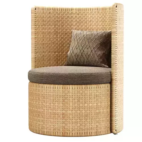 Monica rattan chair D2 