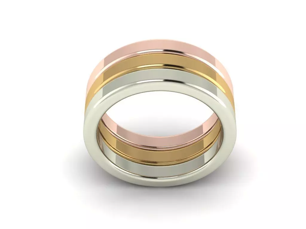 Royal Duet Ring 3D print model_0