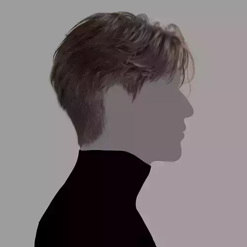 Male Hairstyle XGen maya scene and abc FBX 3D model
