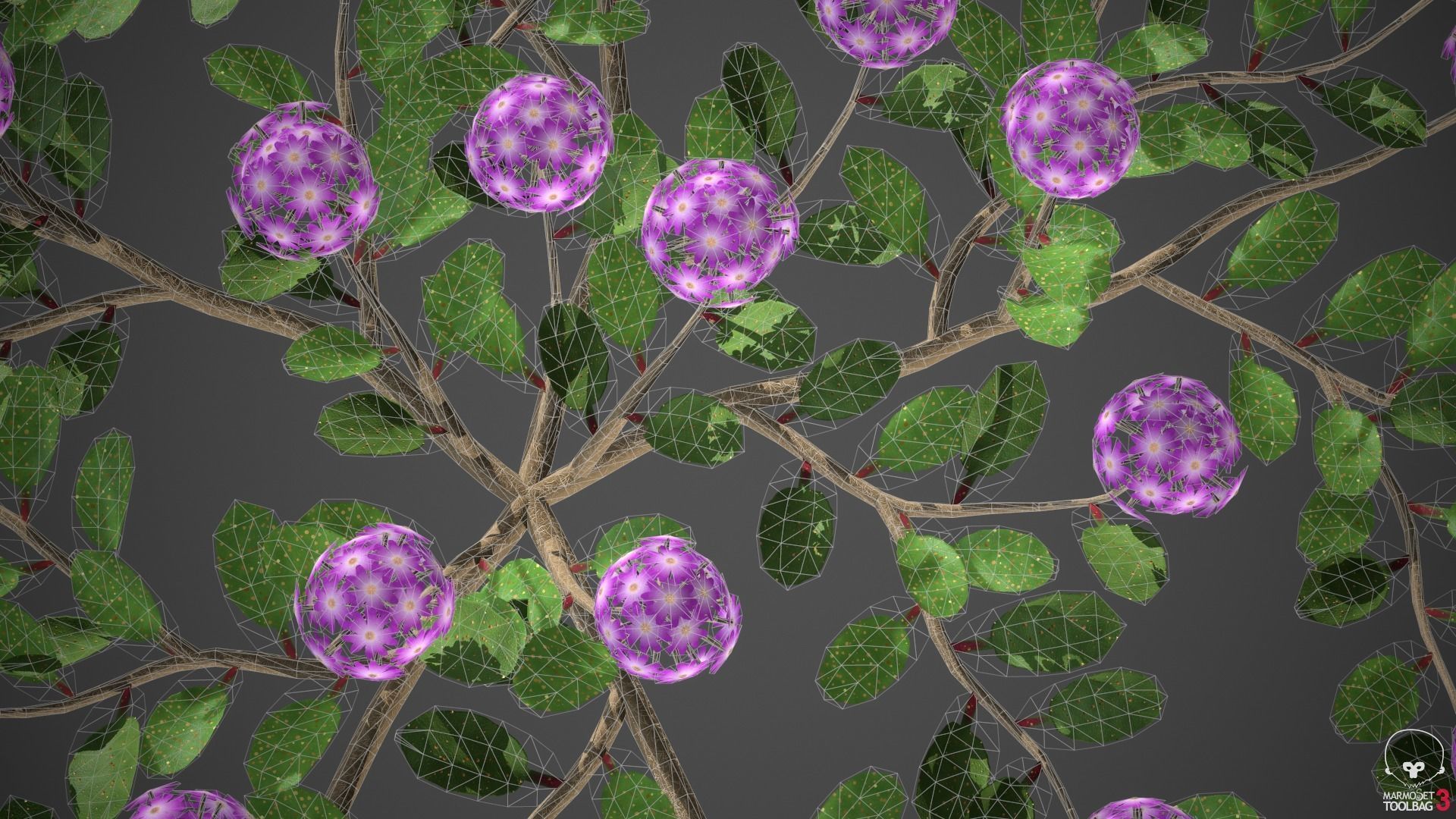 XfrogPlants Desert Sand Verbena - Abronia Villosa  3D model_4