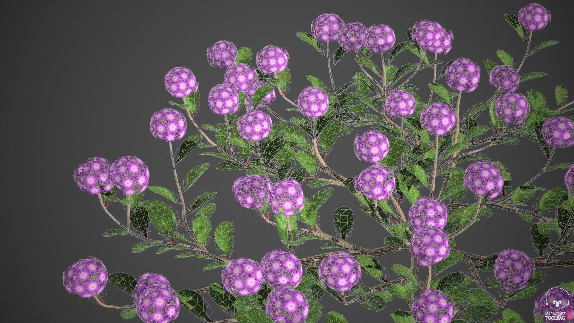 XfrogPlants Desert Sand Verbena - Abronia Villosa  3D model_3