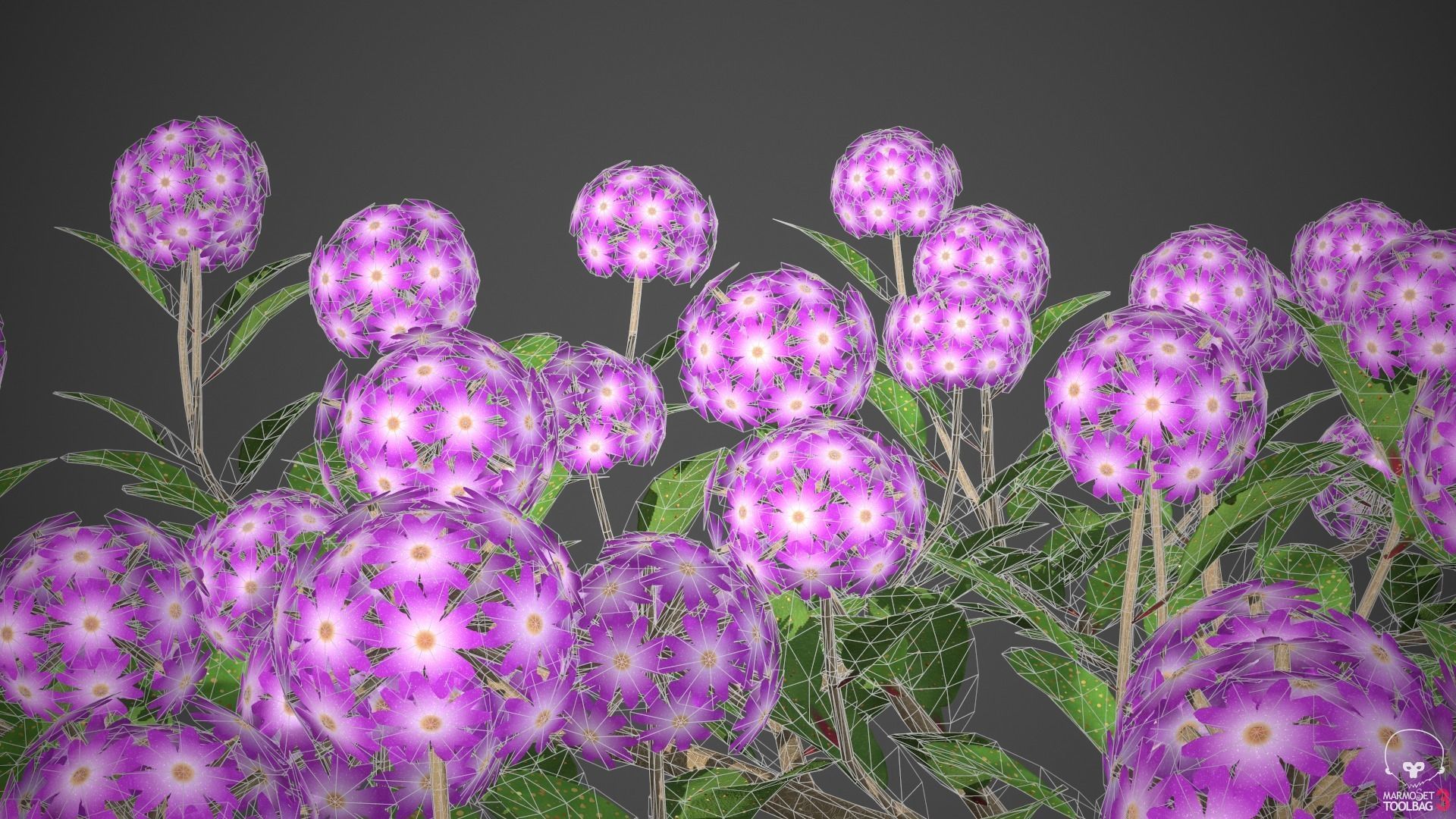 XfrogPlants Desert Sand Verbena - Abronia Villosa  3D model_5