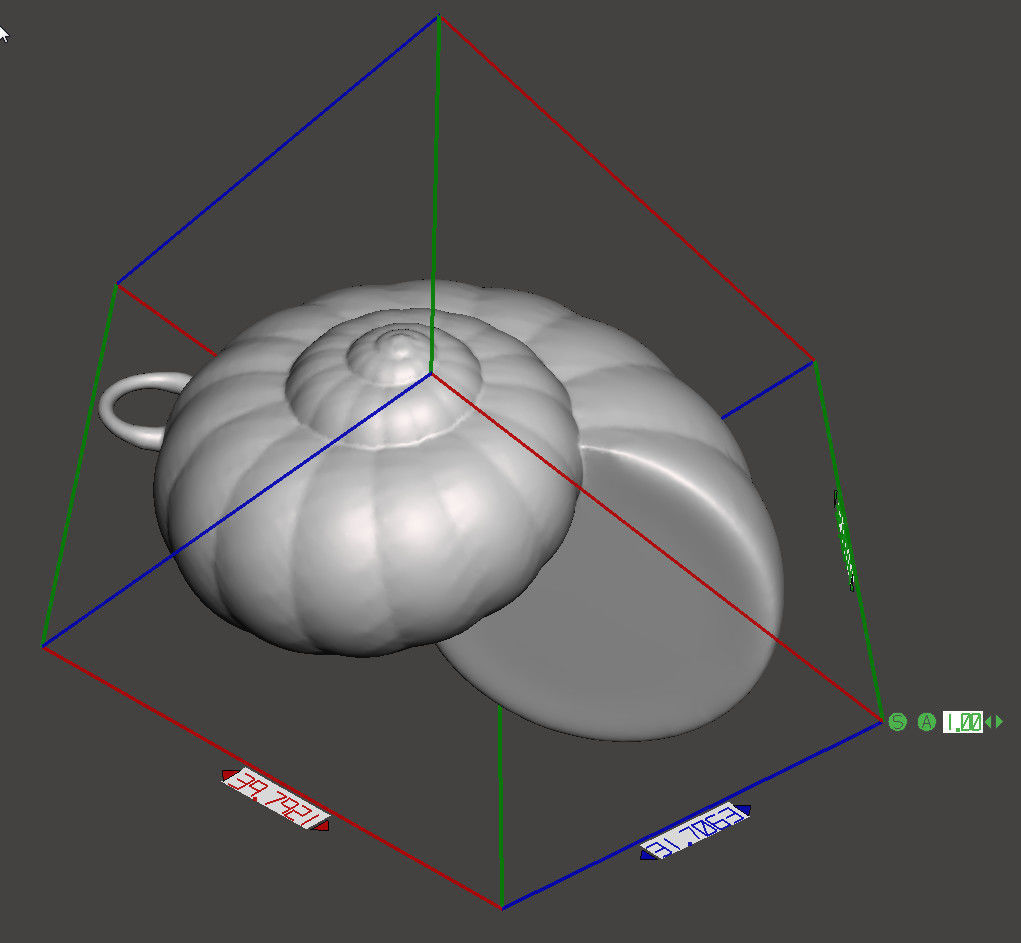 Shell - Snail Mollusc Charm 3D Model - 3D Printing Charm  3D print model_5