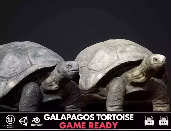 Galapagos Tortoise - GameReady Low-poly 3D model