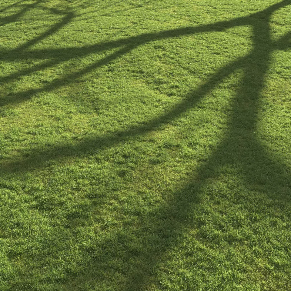 Flat grass 3D model_0