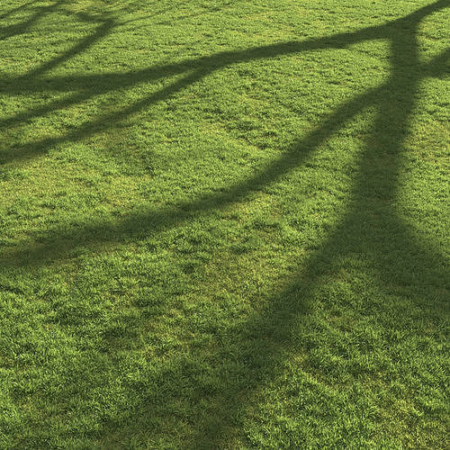 Flat grass 3D model