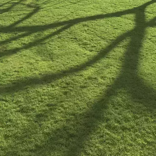 Flat grass 3D model