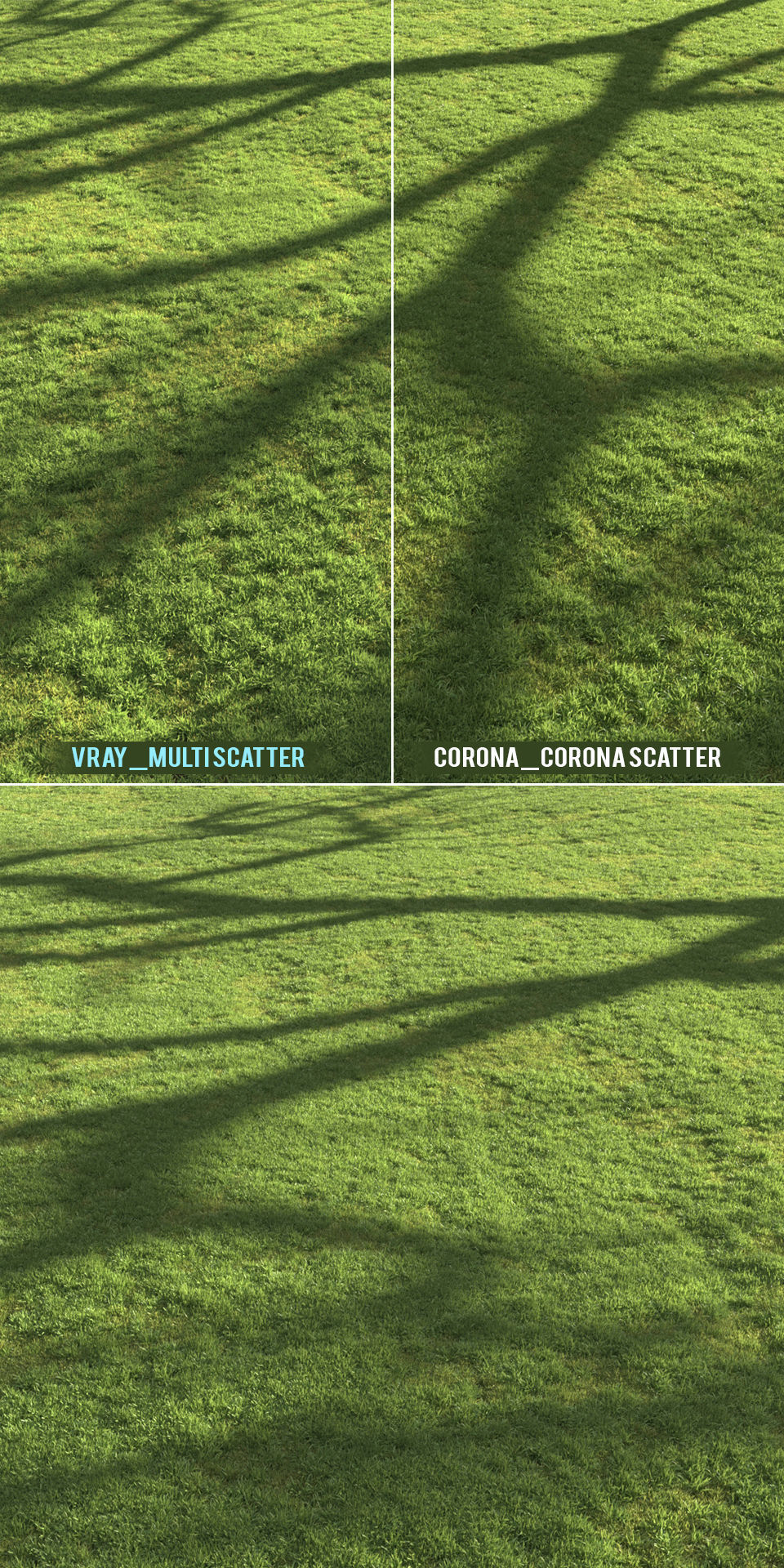 Flat grass 3D model_3