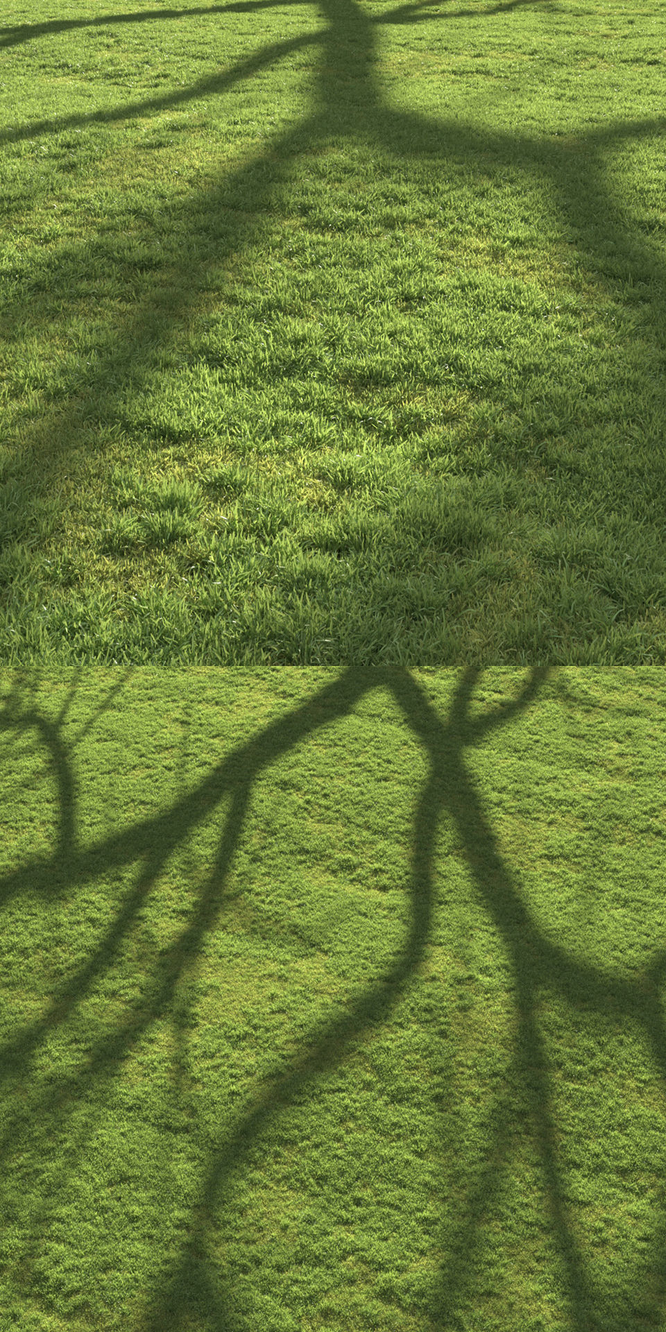 Flat grass 3D model_1