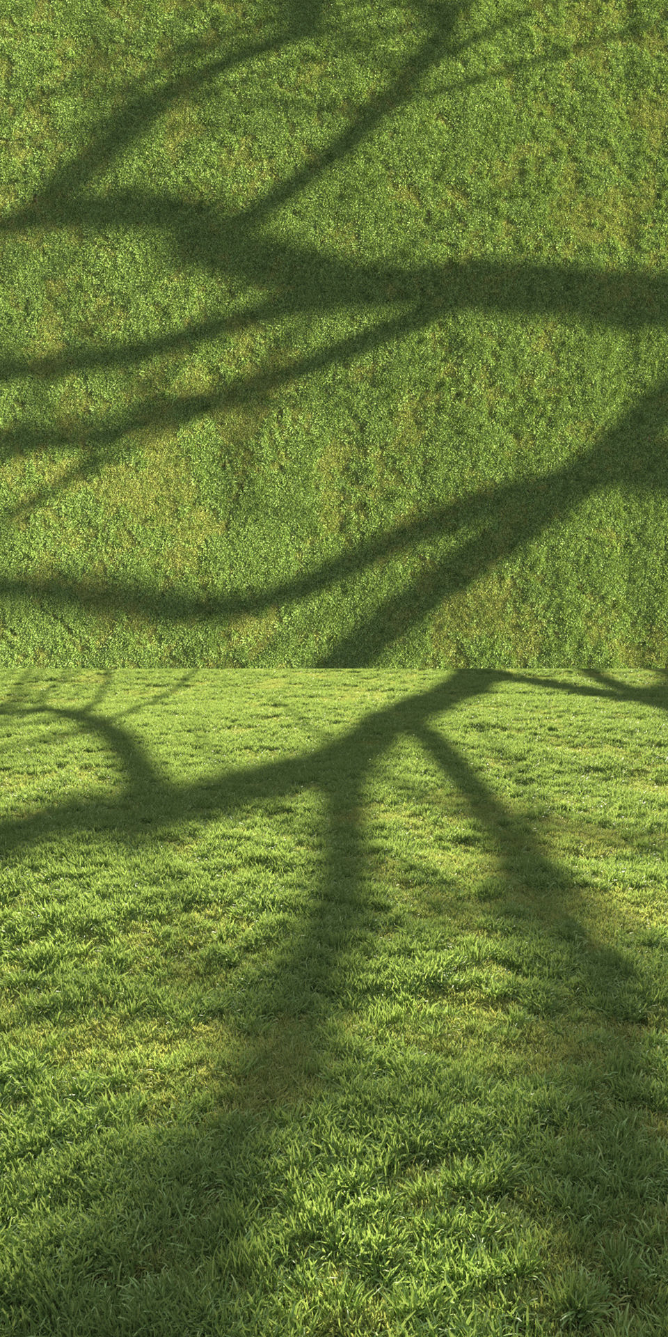 Flat grass 3D model_2