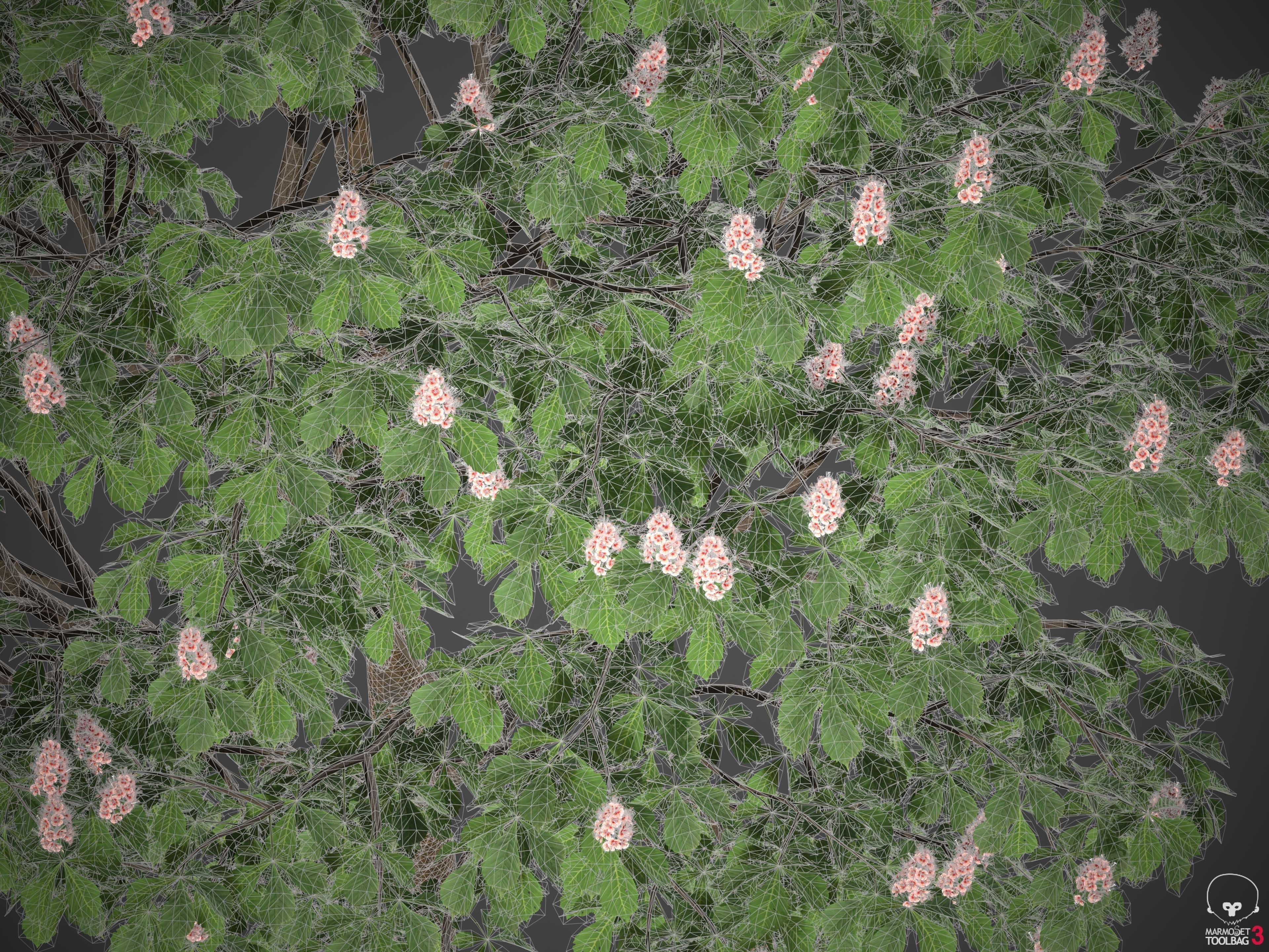 XfrogPlants Horse Chestnut - Aesculus Hippocastanum  3D model_7
