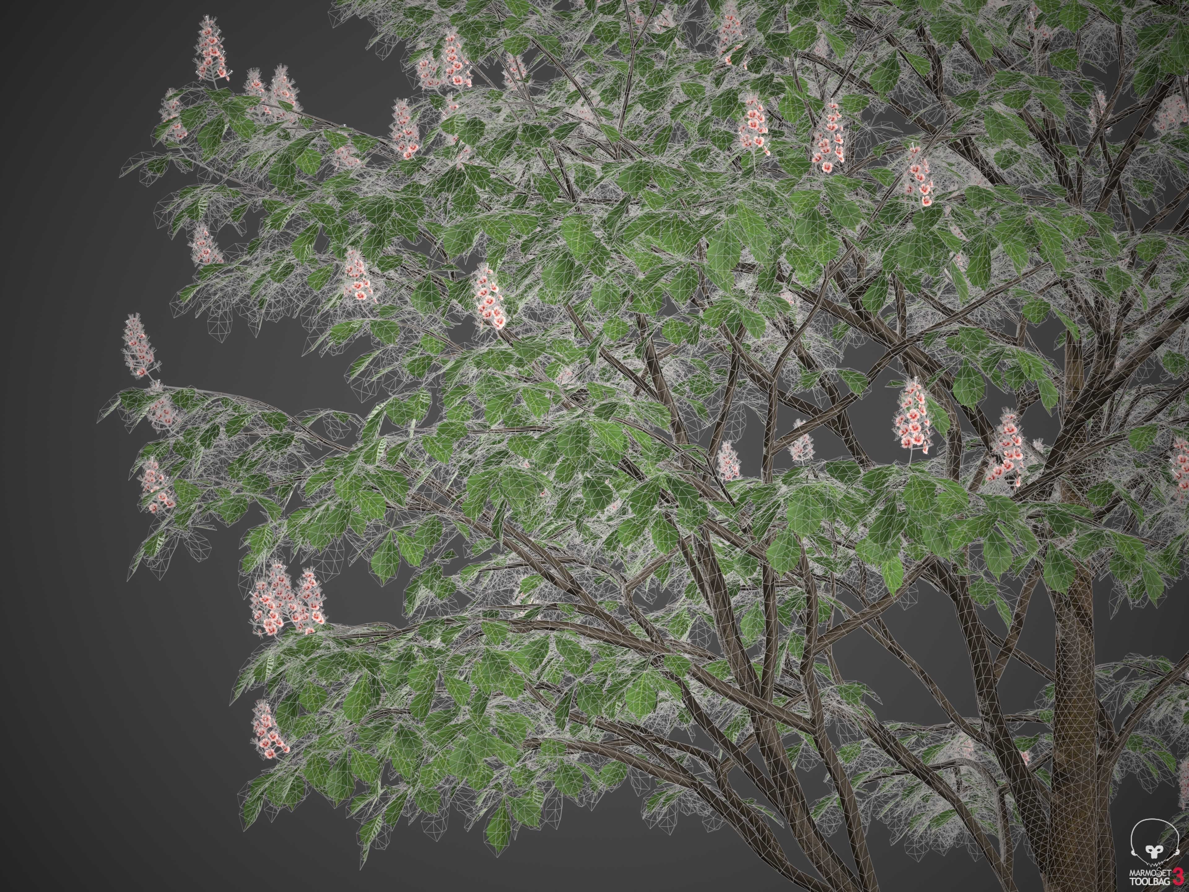 XfrogPlants Horse Chestnut - Aesculus Hippocastanum  3D model_9