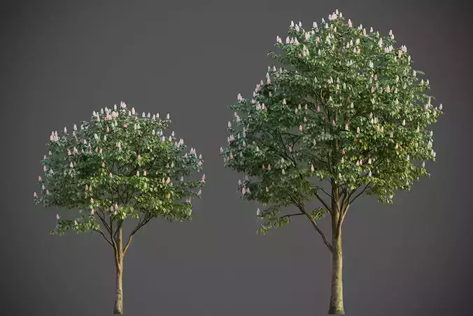 XfrogPlants Horse Chestnut - Aesculus Hippocastanum  3D model