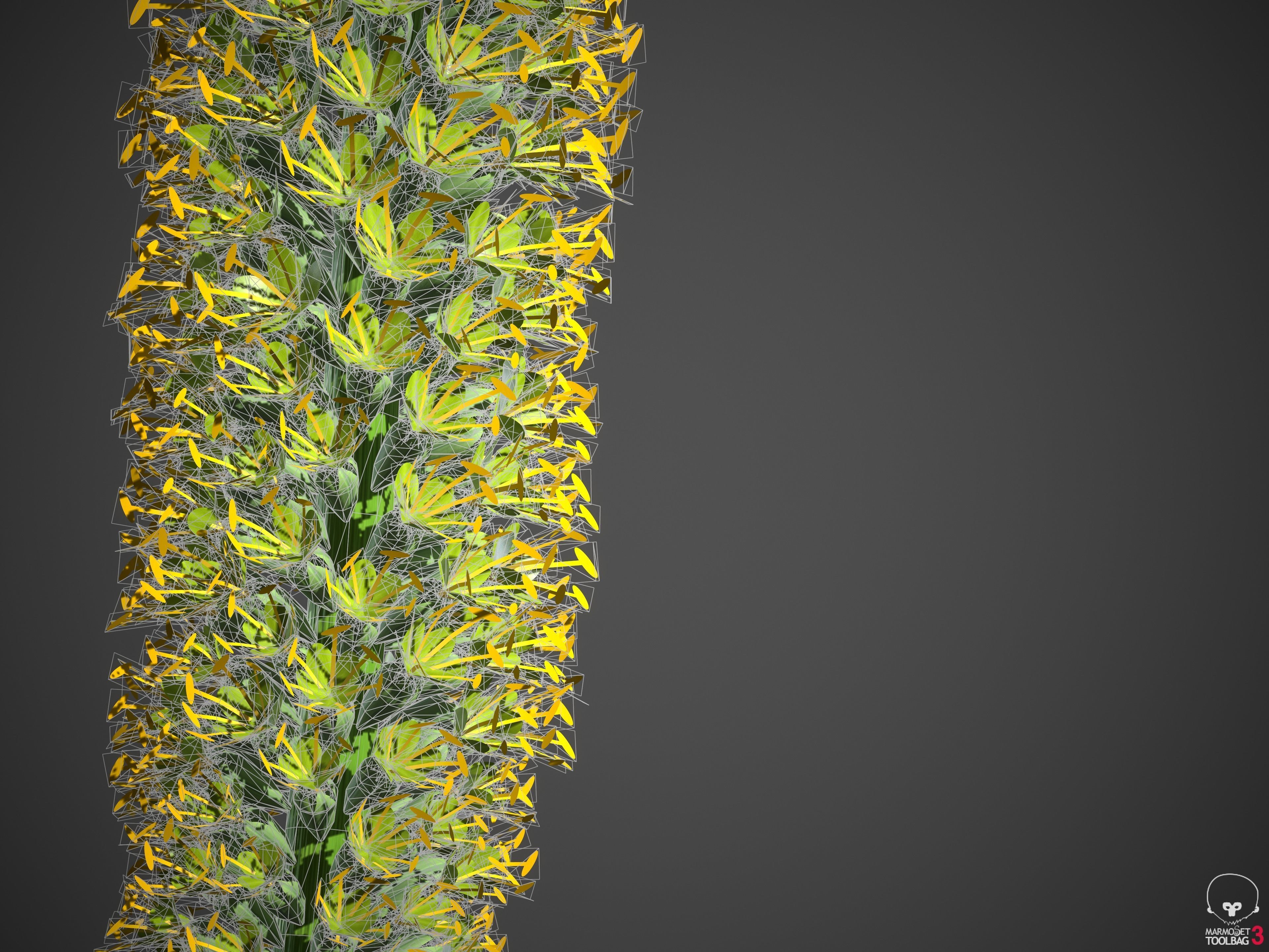 XfrogPlants Octopus Agave - Agave Vilmoriniana  3D model_6