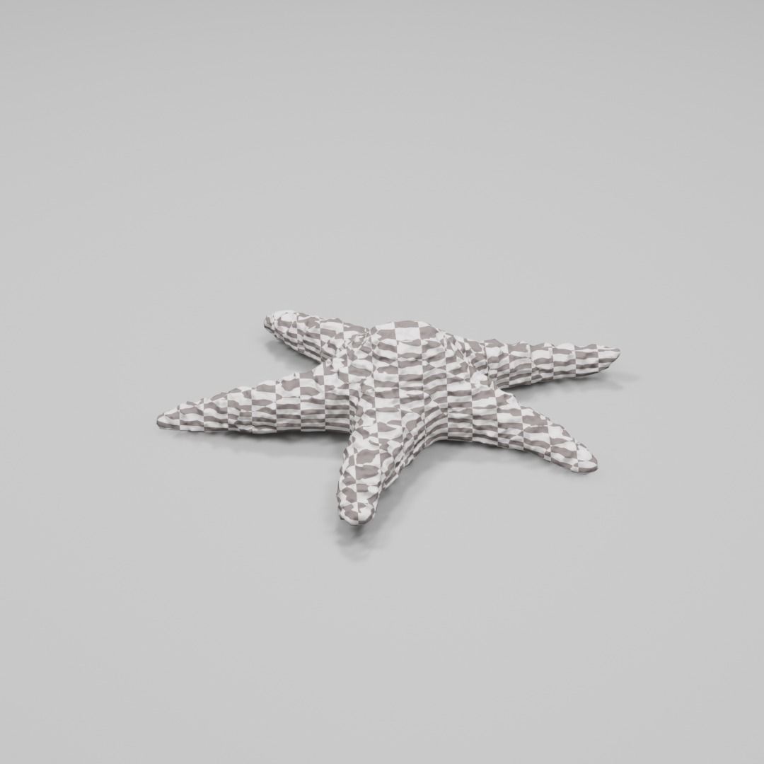 Dry decorative photoscanned Starfish Low-poly 3D model_8