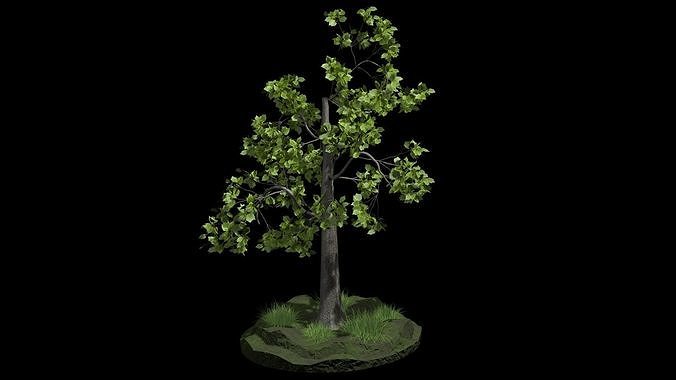 Fairy tree 3D model