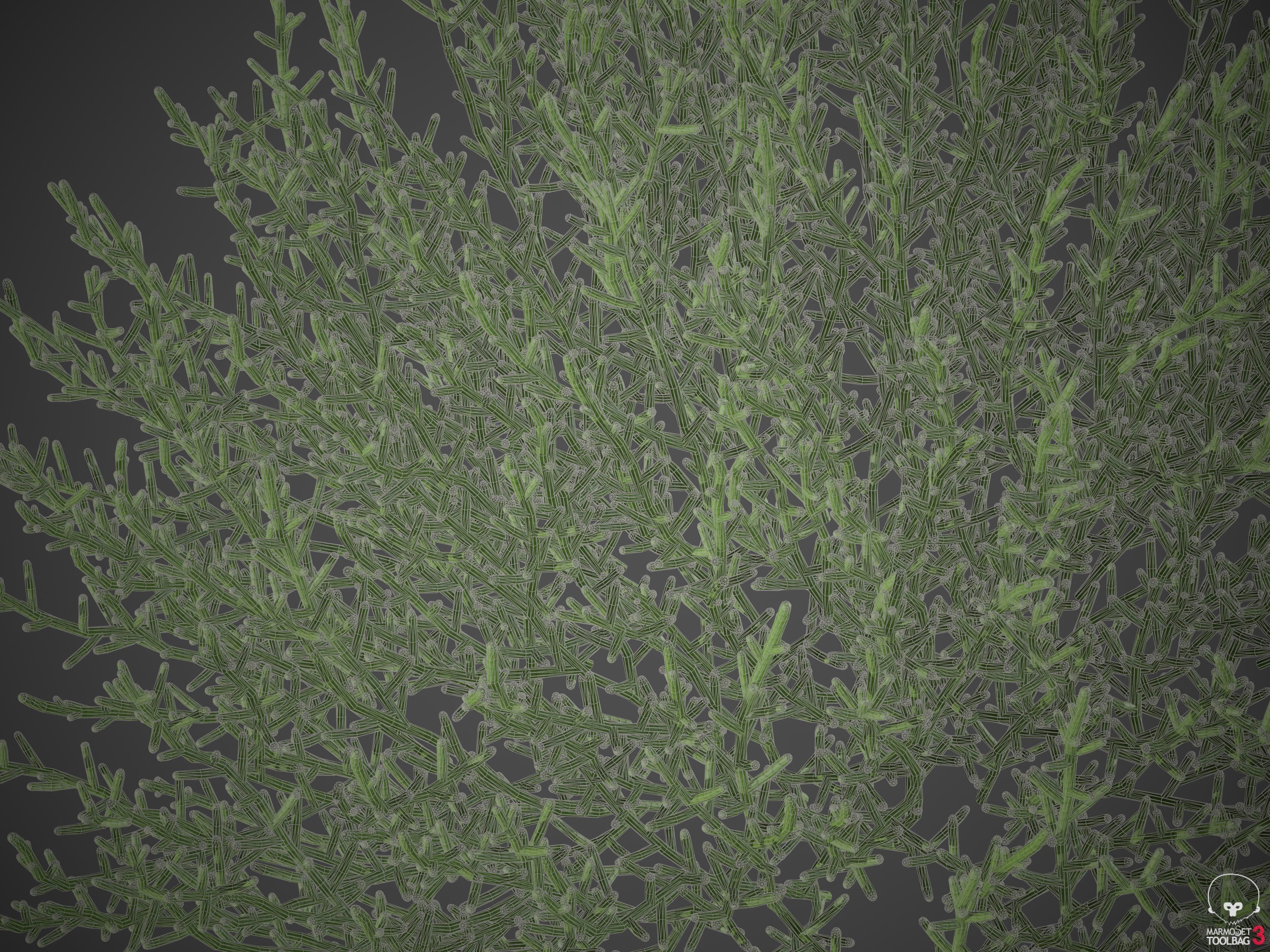 XfrogPlants Arthrocnemum Macrostachyum  3D model_6