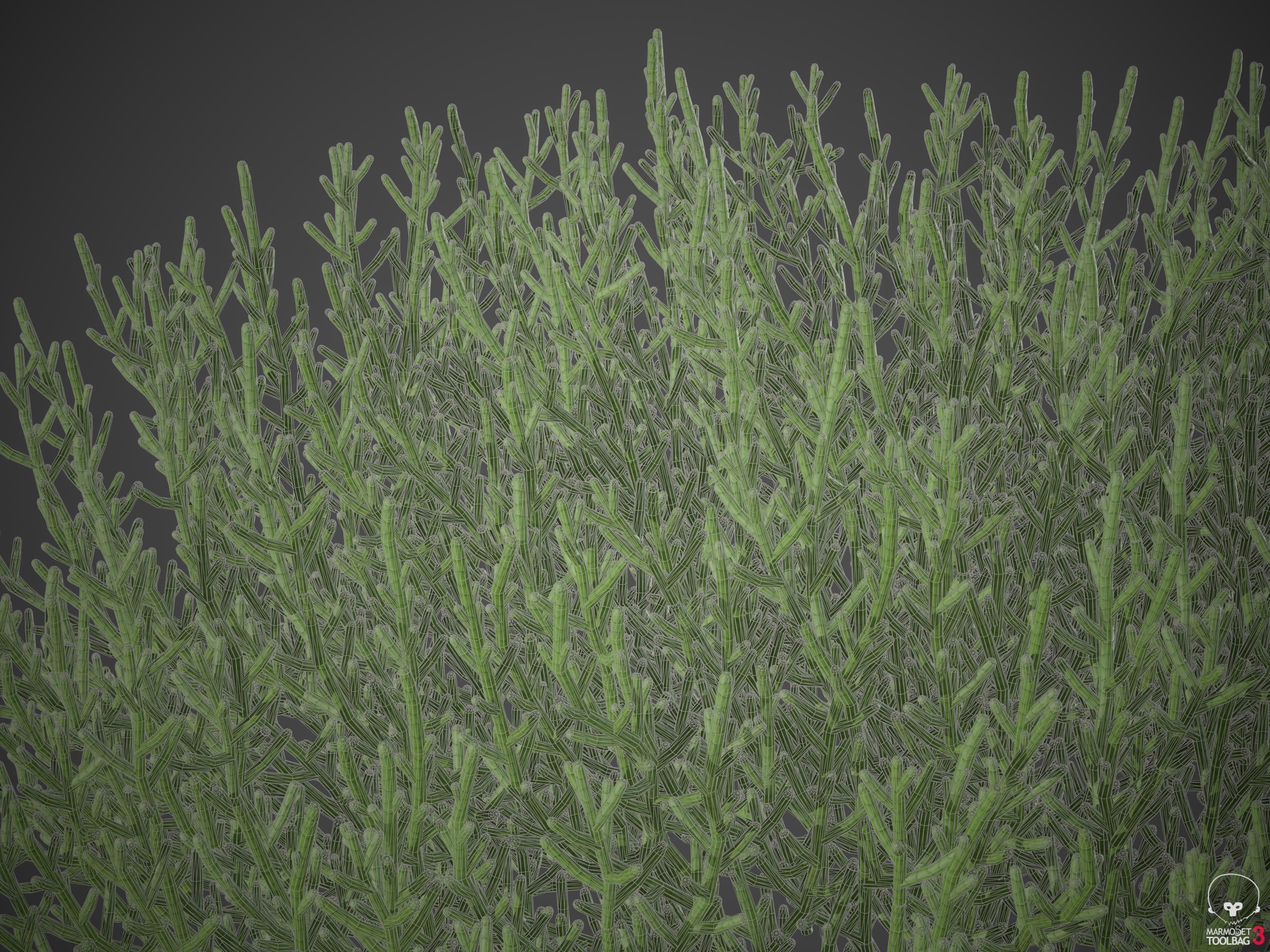 XfrogPlants Arthrocnemum Macrostachyum  3D model_5