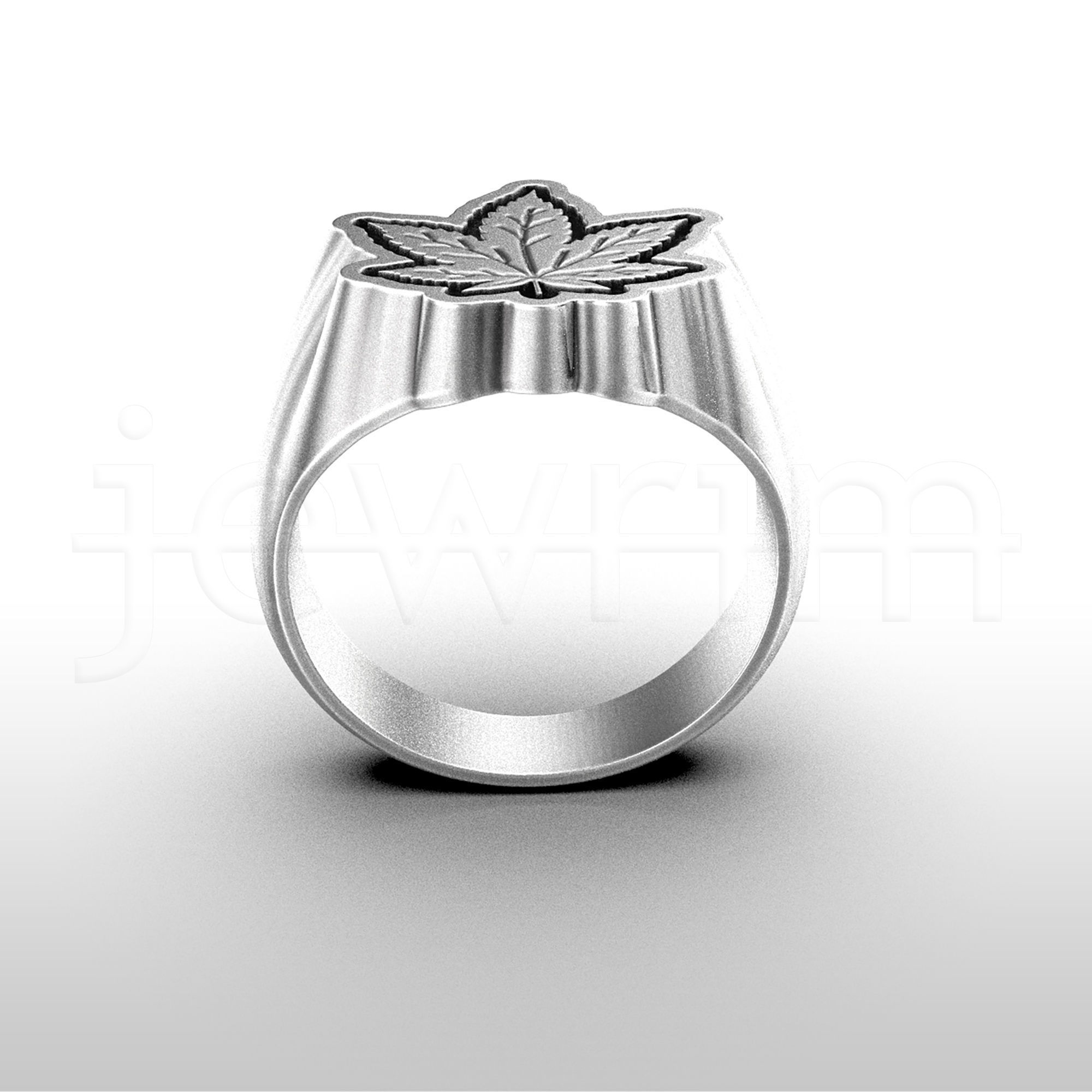 Men silver ring Weed Ring Marijuana ring Cannabis Ring 3D print model_3