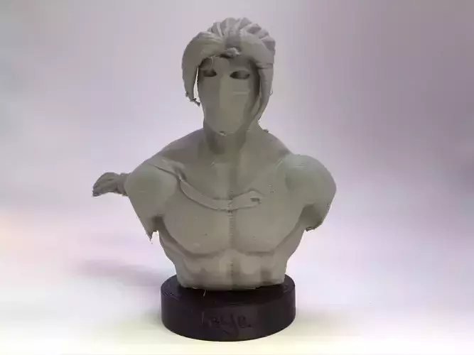 Vega Bust