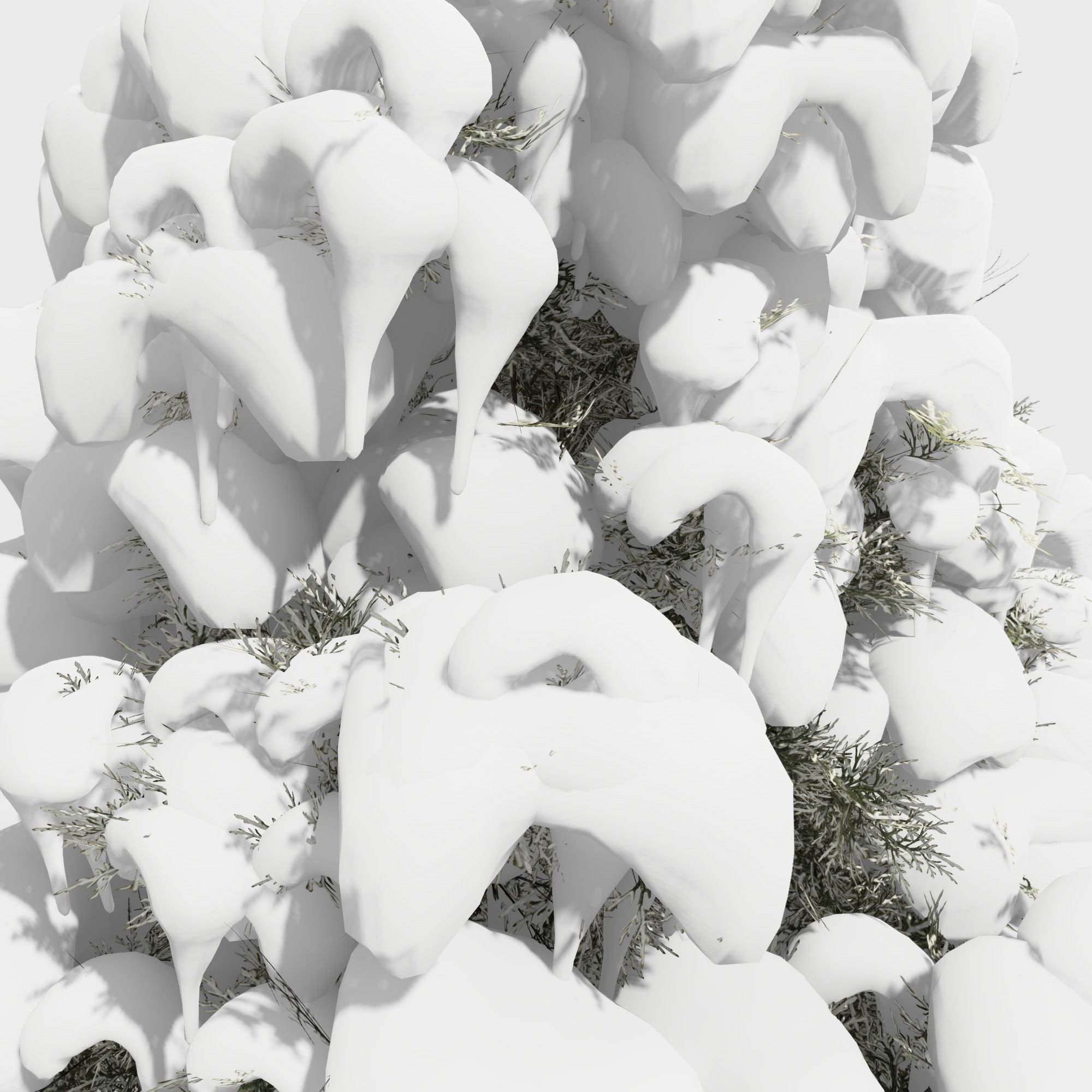 Eastern Red Cedar tree collection 12 trees Models in the scene Low-poly 3D model_25