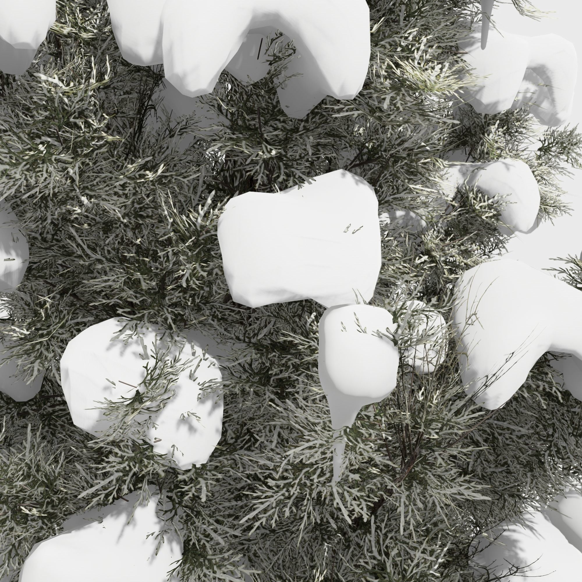 Eastern Red Cedar tree collection 12 trees Models in the scene Low-poly 3D model_26