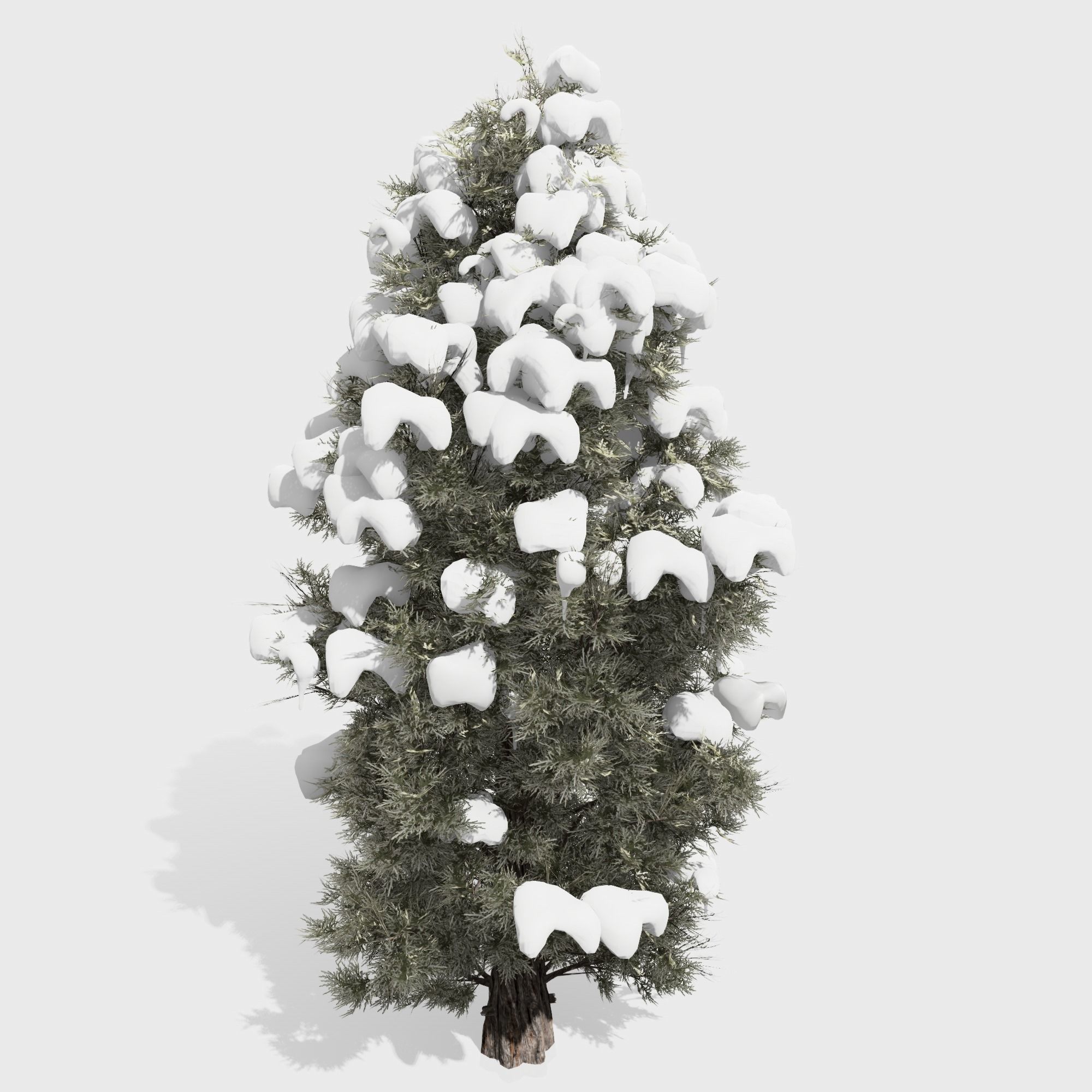 Eastern Red Cedar tree collection 12 trees Models in the scene Low-poly 3D model_24