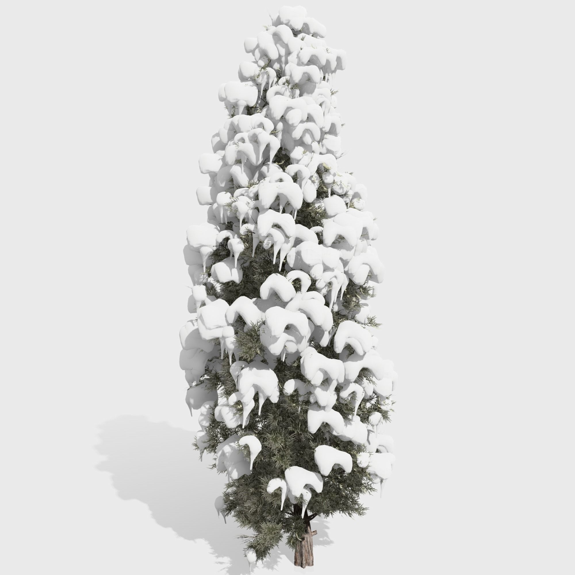 Eastern Red Cedar tree collection 12 trees Models in the scene Low-poly 3D model_22
