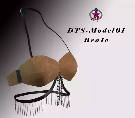 DTS-Model01-Bra1E bra with chains Low-poly 3D model